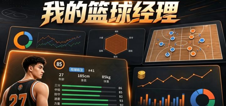 我的篮球经理 封面