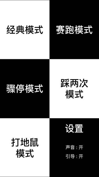 踩黑块儿 ( 黑白块儿 黑白块 钢琴块 别踩白块 完美钢琴音乐)游戏截图