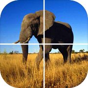 Animal Puzzle (Worldwide)icon