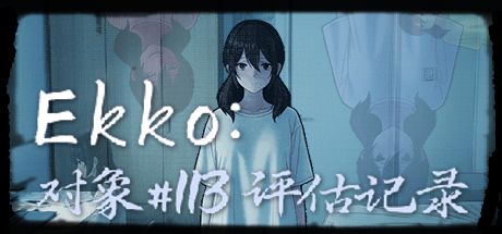 Ekko:对象#113评估记录 封面