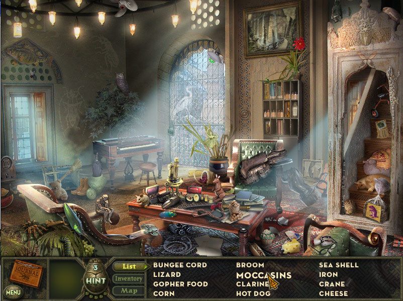 Hidden Expedition: Amazon游戏截图
