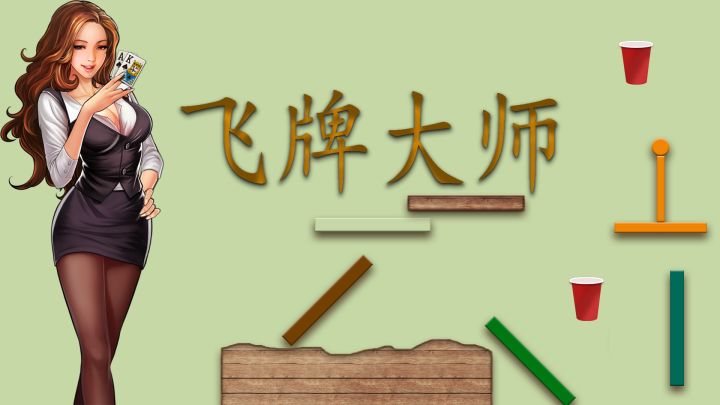 飞牌大师 封面