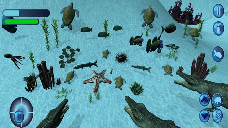 Ocean Little Turtle Simulator游戏截图