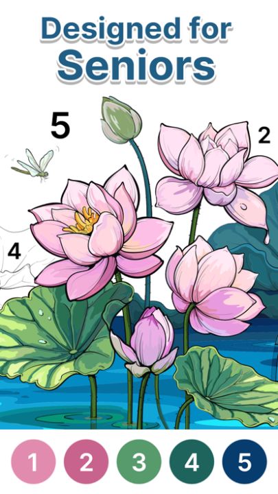 Anima Color for Seniors游戏截图