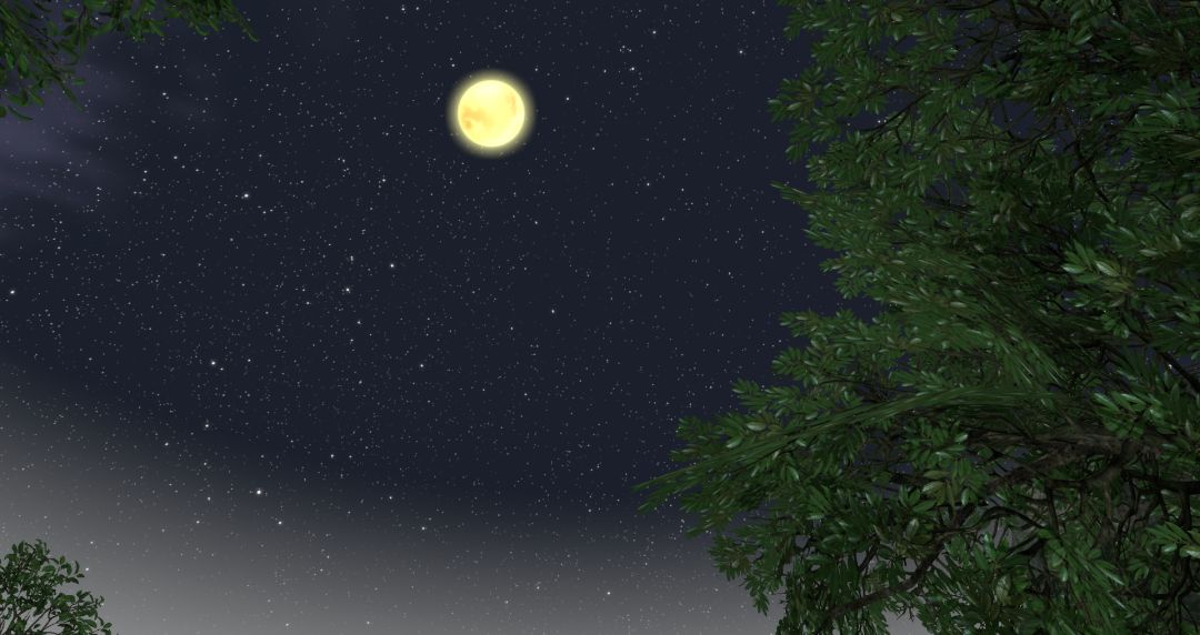 我穿越到灵界游戏截图