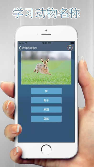 动物  测验狂热症 学习动物名称游戏截图