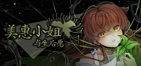 美惠小姐与生后愿 封面