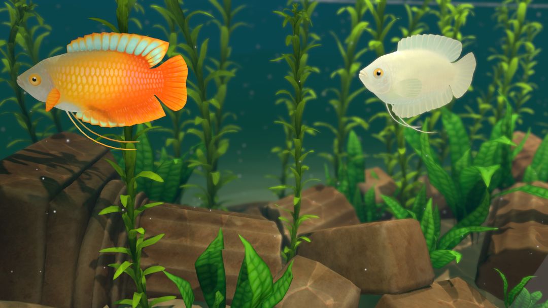 FISHERY游戏截图