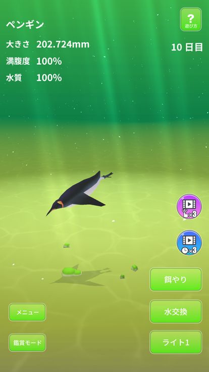 Penguin World.游戏截图