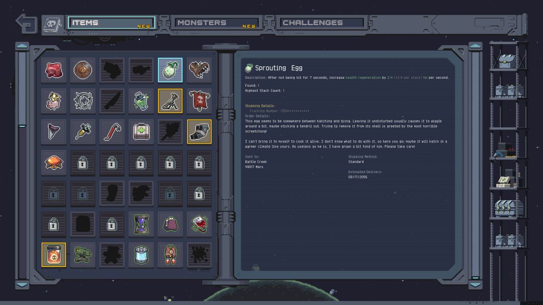 雨中冒险: 回归游戏截图