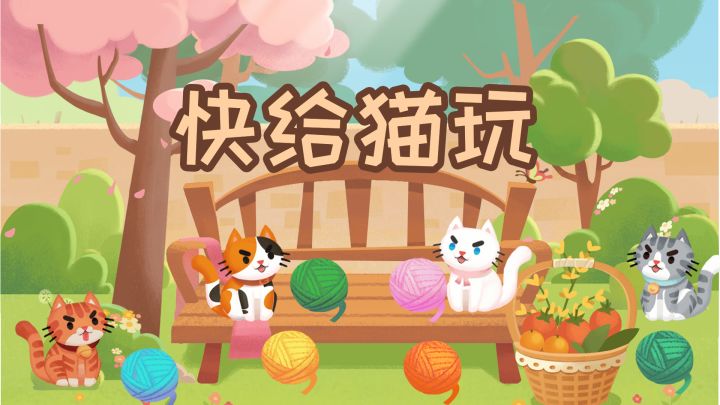 快给猫玩 封面