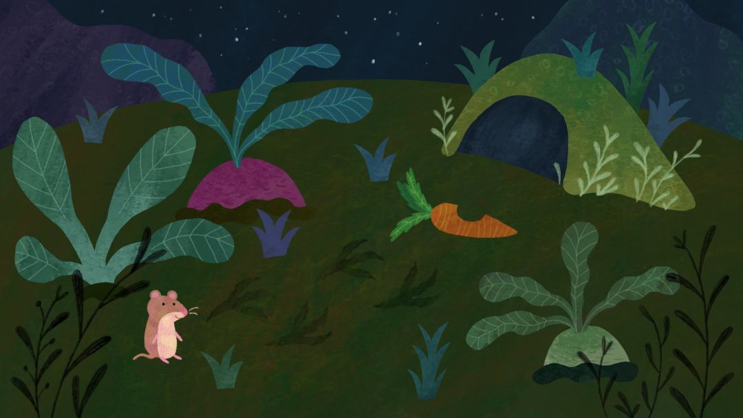 林中夜曲游戏截图