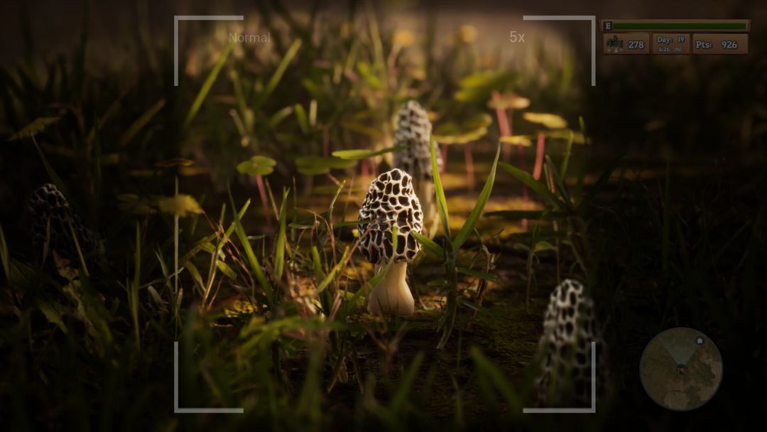 Morels: The Hunt游戏截图