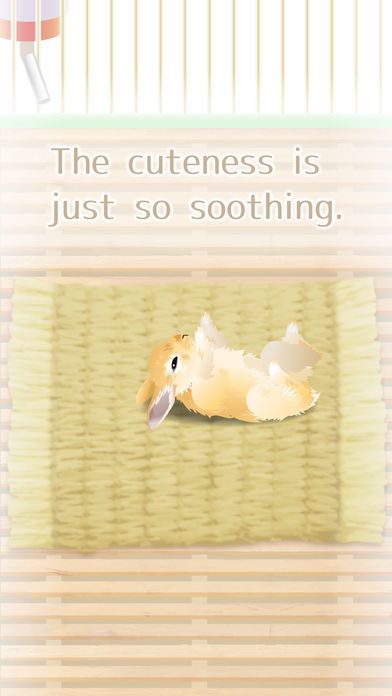 Virtual Therapeutic Rabbit Pet游戏截图