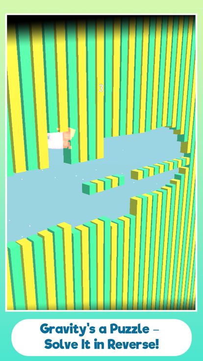 Reverse The Gravity游戏截图