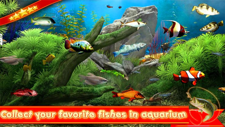 Hook Hunter: Fishing Games 3D游戏截图