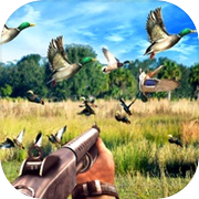 狙击手 鸟类 打猎