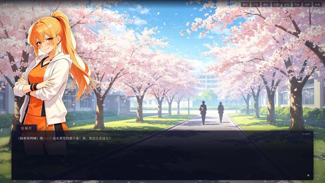星澜恋曲游戏截图