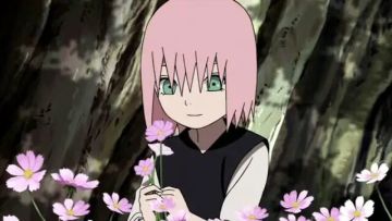 【生贺】春野樱庆生软文