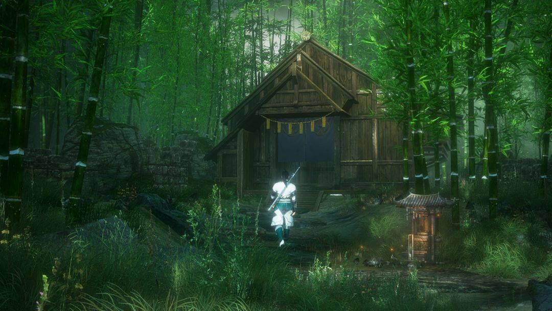 隐龙传：影踪游戏截图