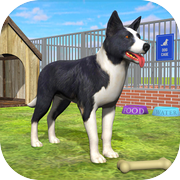 Pet Dog Shelter Cleaning Gamesicon
