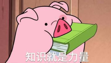 你们说玩星弧，到底靠的是脑子还是脸？