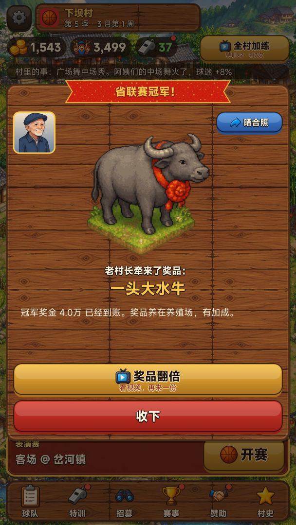 全村篮球队:冠军奖一头牛游戏截图