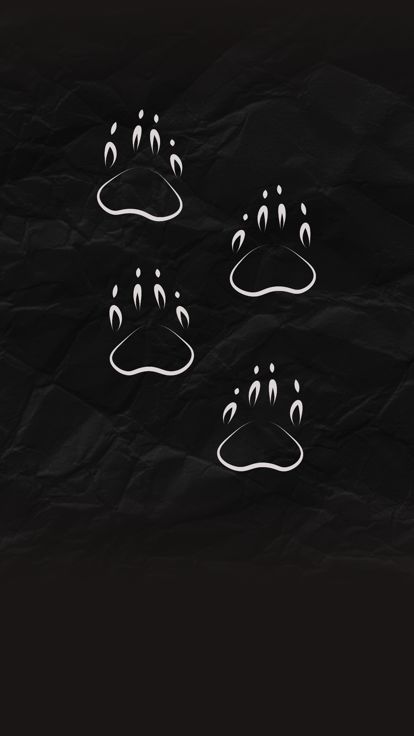 黑暗中的火焰游戏截图