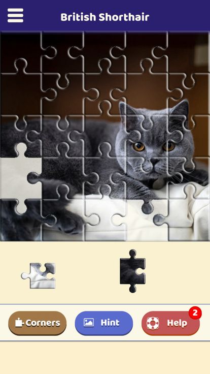 British Shorthair Puzzle游戏截图