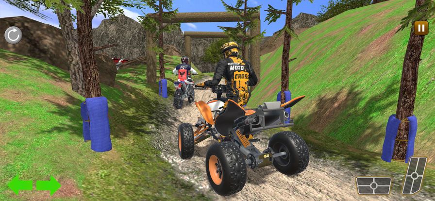 Offroad Dirt Bike Racing 3D游戏截图
