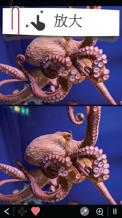 找不同 750+游戏截图