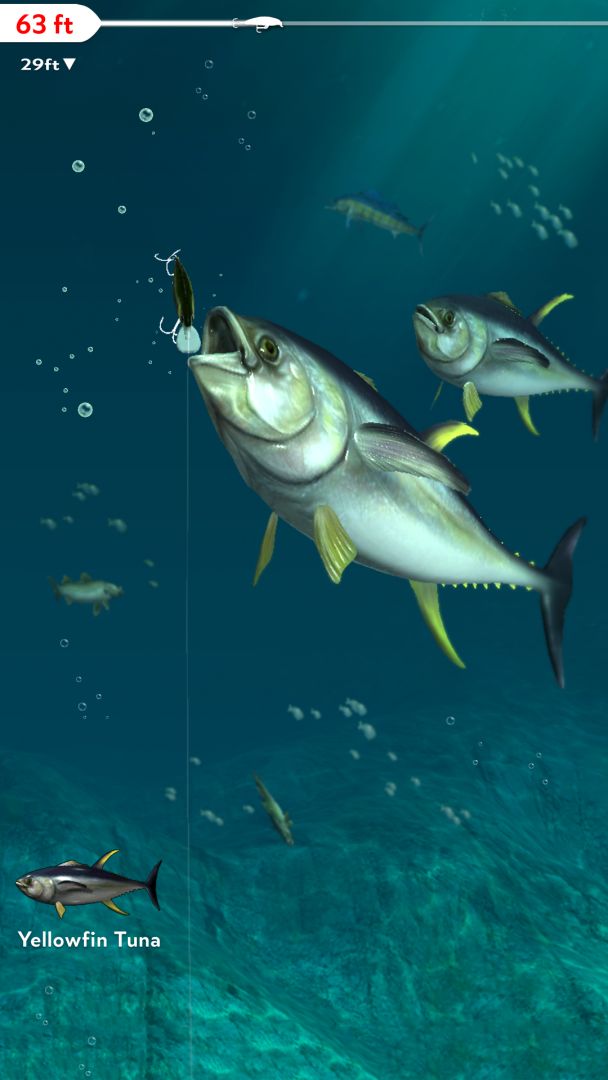 Rapala Fishing - Daily Catch游戏截图
