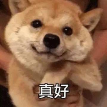 《战歌竞技场》明天上线！