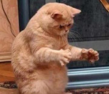 秋日有礼，联动可期！神秘联动来袭！