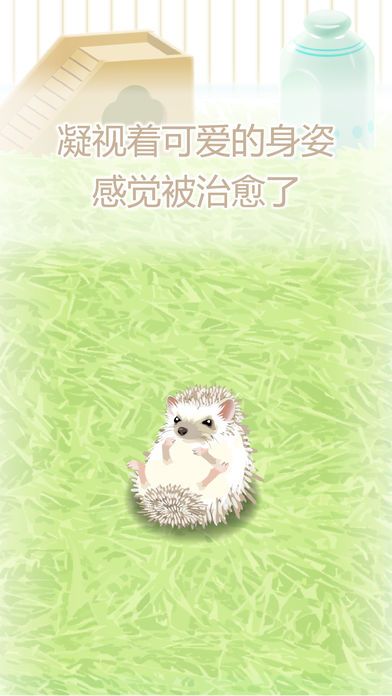 治愈的猬育成游戏游戏截图