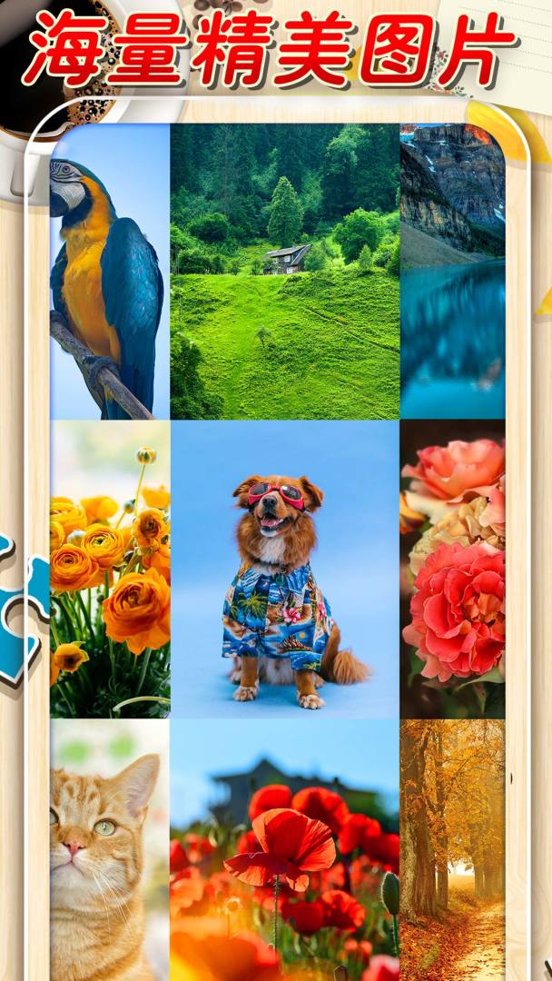 拼图游戏游戏截图