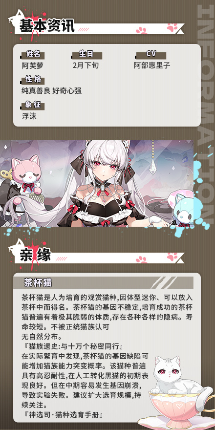 茶杯猫：阿芙萝-掌上淑女