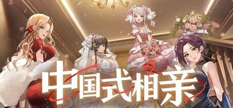 中国式相亲 封面