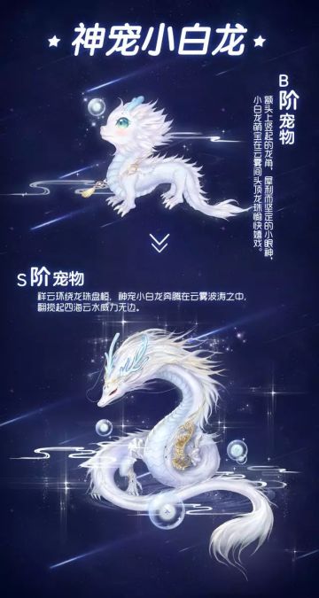 全新宠物礼盒白龙宠座椅羁绊粉臻上新大批臻品九天神凤重磅返场！