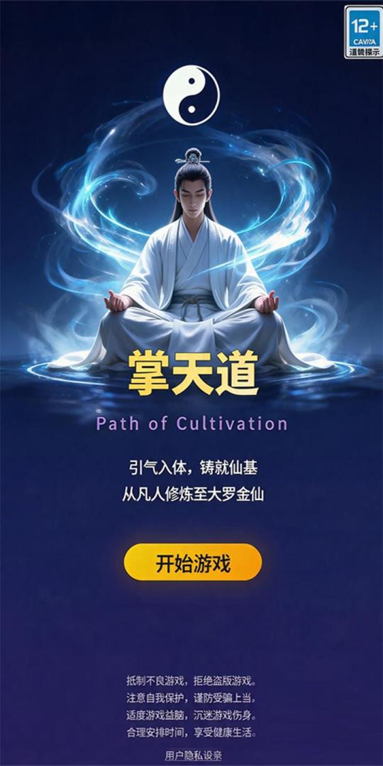 掌天道游戏截图