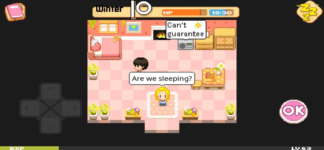 公主的农场故事游戏截图