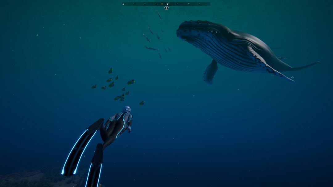 Beyond Blue游戏截图