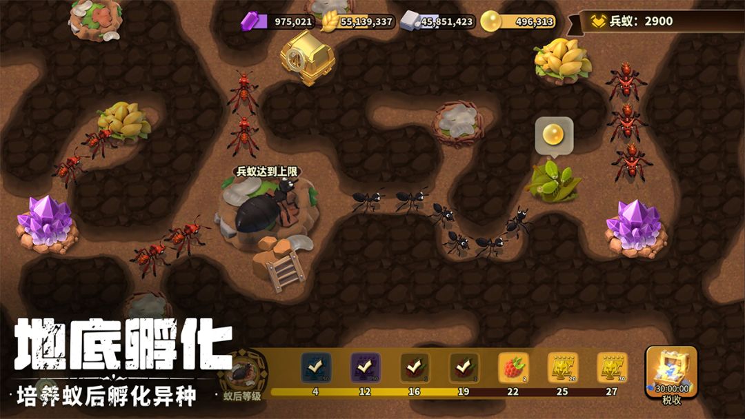 蚁族崛起游戏截图