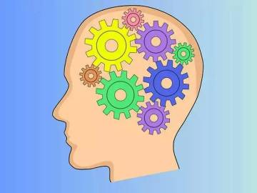 为什么锻炼左手有助于发展智力?