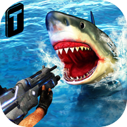 Shark Sniping 2016