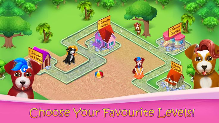 蓬松的拉布拉多幼犬沙龙游戏截图