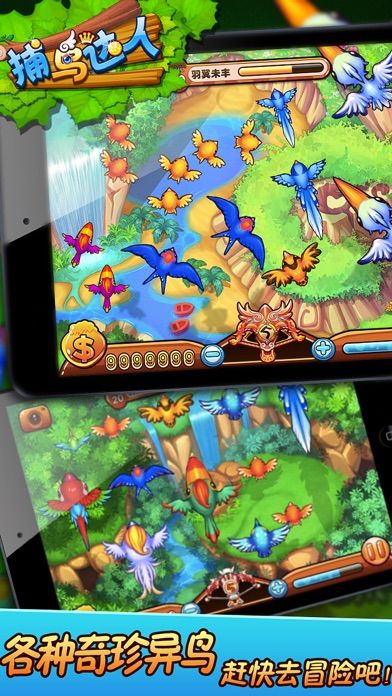 捕鸟达人-单机无限金币游戏截图