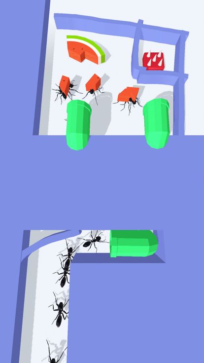 Ant Flow游戏截图