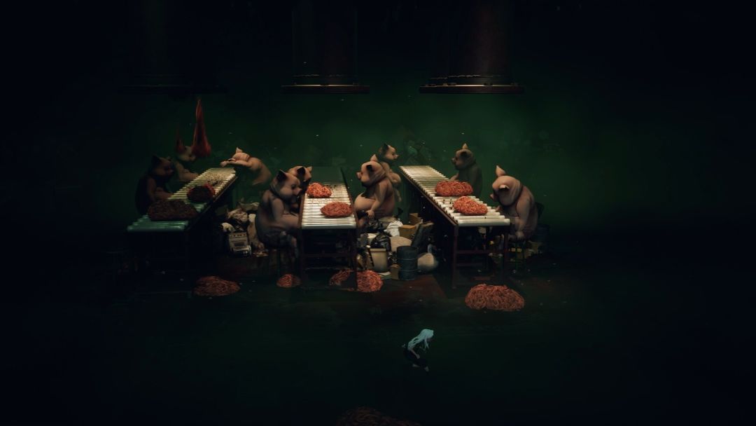 寂静之国的波斯菊游戏截图