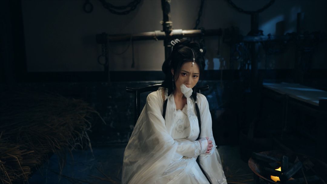 重生！我在古代遇佳人游戏截图